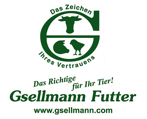 Gsellmann